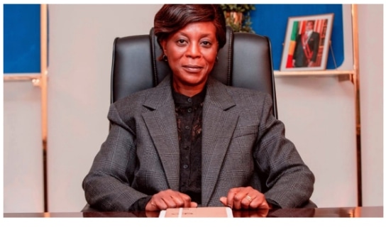 Congo Basin's Future: A Call for National Ecological Responsibility
